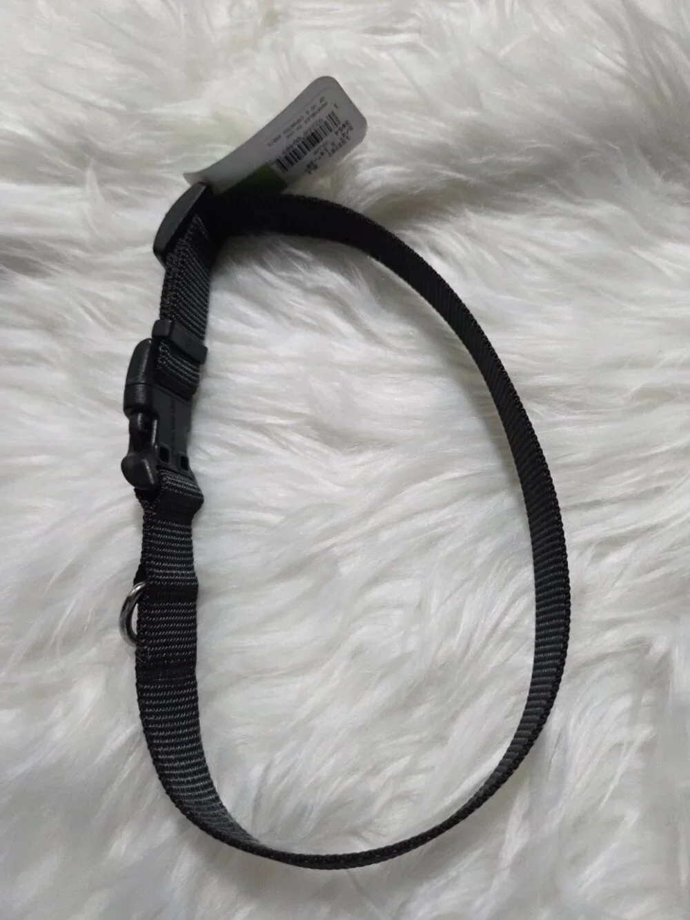 Frisco Black Dog Collar